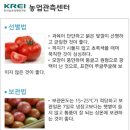 토마토푸드 이미지