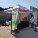 2025 봄 궁중문화축전 &lt;시간여행, 세종-궁중새내기&gt; 궁중회화, 궁중공예체험 참가 후기