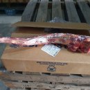 GBP_Beef Tails_꼬리 이미지