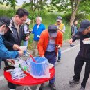 양동초교 이미지