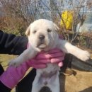 아성농장 이미지