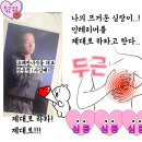 주식회사그린인테리어 이미지