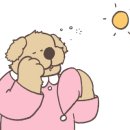 엔젤스가든