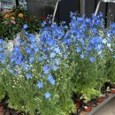 핏어팟(pit A pat) 이미지