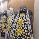 조앤조연합치과의원 이미지