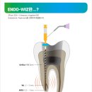 엔도위즈 이미지