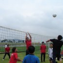 제17회 전남태권도협회체육대회(배구) 이미지