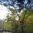 서면 우체국 이미지