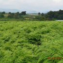 지리산금종영농조합법인 이미지