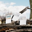 팩앤패키지 이미지