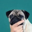김형제고기의철학 - 청주시 청원구 1순환로 130 | 김형제고기의철학