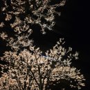 CU 용산한강진 | 그랜드 하얏트 서울 프리미엄 한강전망 I 호캉스 1박 객실후기 I 배달음식