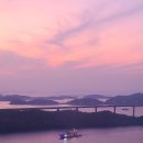 암태면, 하의면 도로변 무궁화길 조성사업 | [목포여행]신안 반월도 박지도 퍼플교,목포 해상케이블카 탑승