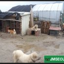 정호농장 이미지