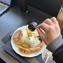 공간동백 이미지