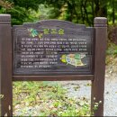 꽃이야나무야충주천안 이미지