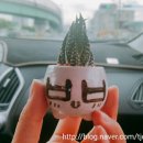 스쿨 당구 클럽 이미지