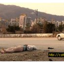 오성태 카카오 검색결과