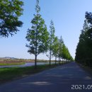 맥도생태공원 이미지