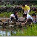 곽금초등학교 이미지