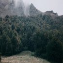 점상농장 | [감상 후기] 야생 재건 프로젝트