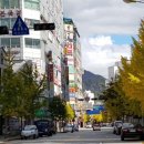 평내동 상인회가 준비한 [사회적경제 평내로 물들다] 평내동 어울더울 한마당 멋진 행사 둘러본 후기