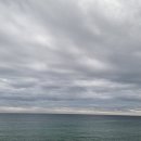 싱싱수산회직판장 이미지