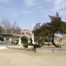 갑천초교 이미지