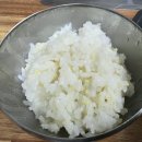 파크골프종합마트 | 위드대륙파크골프투어와 함께한 밀양 파크골프장 라운딩 후기