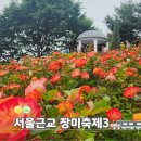 묵동-032 | 서울 근교 5월 봄나들이 꽃구경 장미축제 3곳 추천