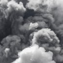 매울 향 이미지