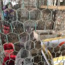 사랑해요동물병원 이미지