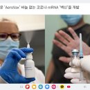 과학자들이 새로운 &#39;AeroVax&#39; 바늘 없는 코로나 mRNA &#39;백신&#39;을 개발 이미지