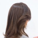 비비드헤어 이미지