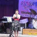 금사랑