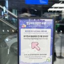 올리브타운 | 홍대타운 올리브영 망곰이 팝업 방문 후기