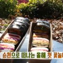 순천만 쉼표2 이미지