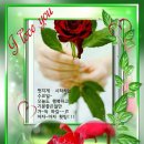 수요일 이미지