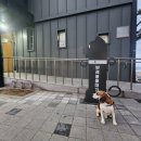 문화의거리 공중화장실 이미지