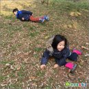 숲속에는 이미지