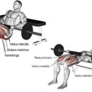 채널24시 이미지