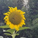 새터농로 이미지