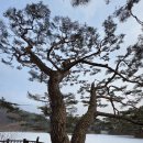 의림지-04 이미지