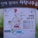 황금추석연휴 자작나무숲길(트레킹)+남이섬(관광) 10월8~9월1일(1박2일) 이미지