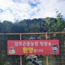 팔충농장 | 김포 곤충농장 체험 후기