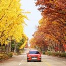 미사경정공원 이미지