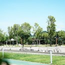 금강로하스산호빛공원 야외수영장 이미지