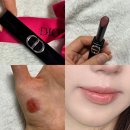 스테이지온 | [디올 루즈 온 스테이지 168] 내돈내산 후기, 226비교/웜톤 립 추천