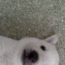 황금모터스 이미지