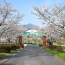 노미목장 네이버블로그